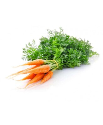 Морковь с ботвой 1 пучок 